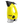 Gőztisztító