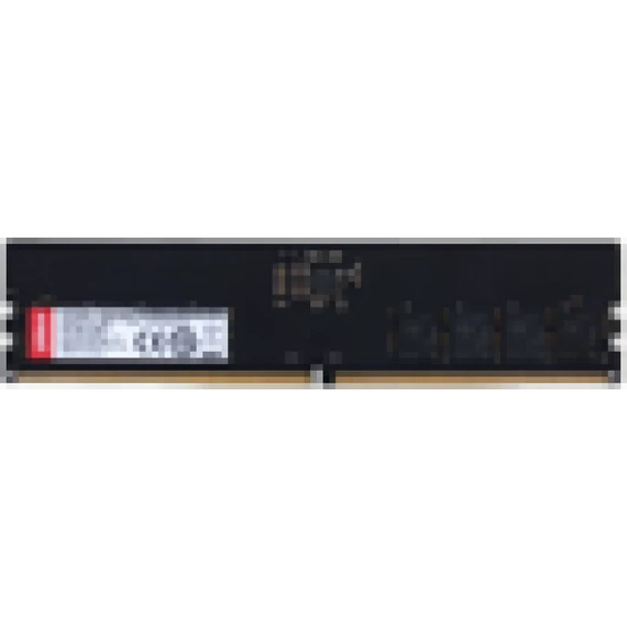 RAM Dahua C500U8G48