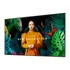 Samsung LFD kijelző 43" QB43C 16/7, UHD, 350,